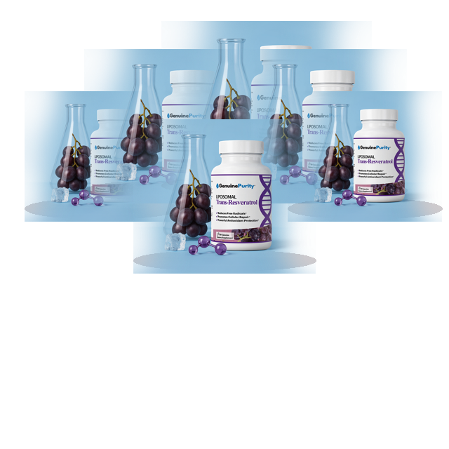 Bundle visual with 6 bottles